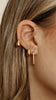 ANTONELLA HOOPS