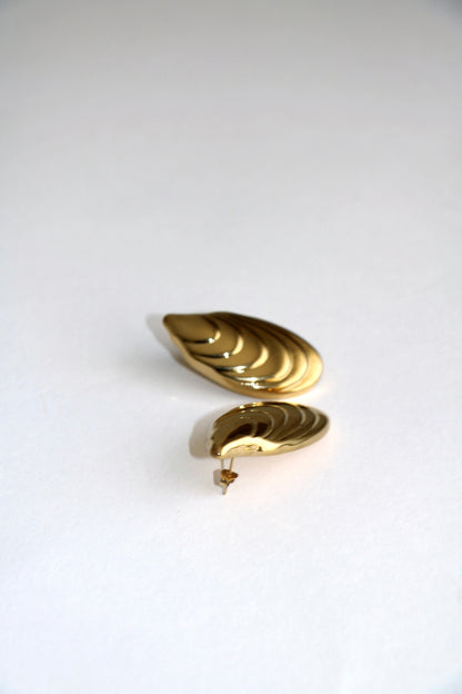 BRINCOS MUSSELS