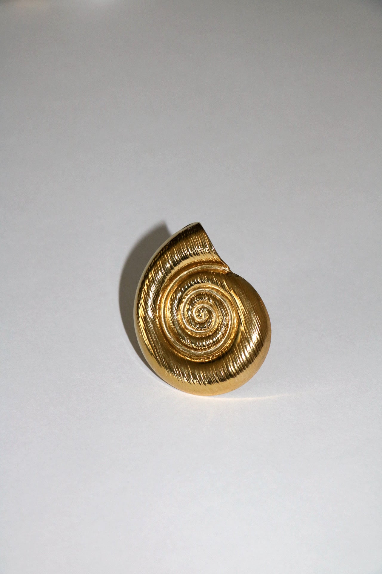 ANEL SEA WHELK