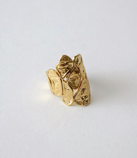 COASTAL RING